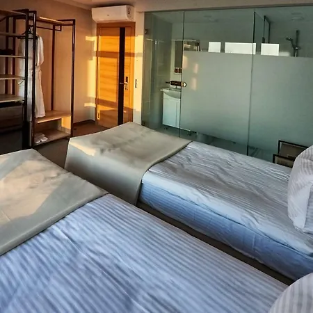 Boutique Dacha Lanzheron מלון